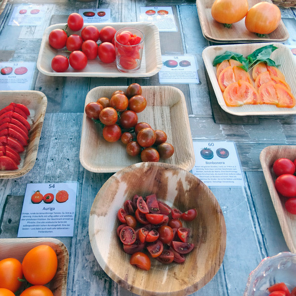 Tomatenverköstung